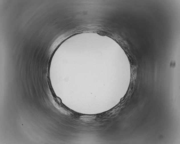 X0000111670051200908281121