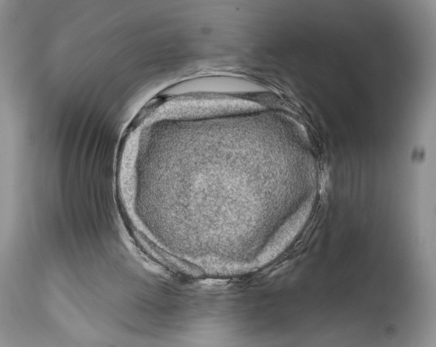 X0000111670052200908281121