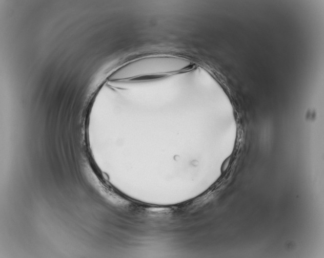 X0000111670053200908281121