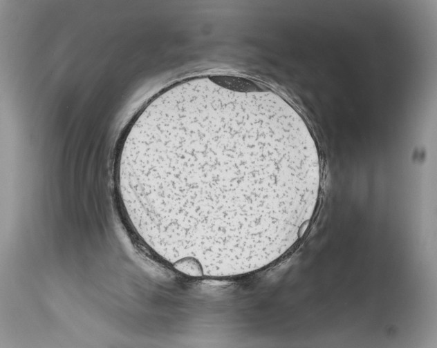 X0000111670055200908281121