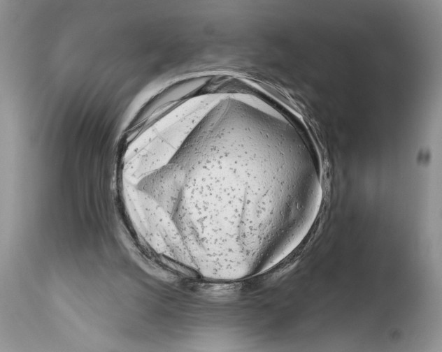 X0000111670056200908281121