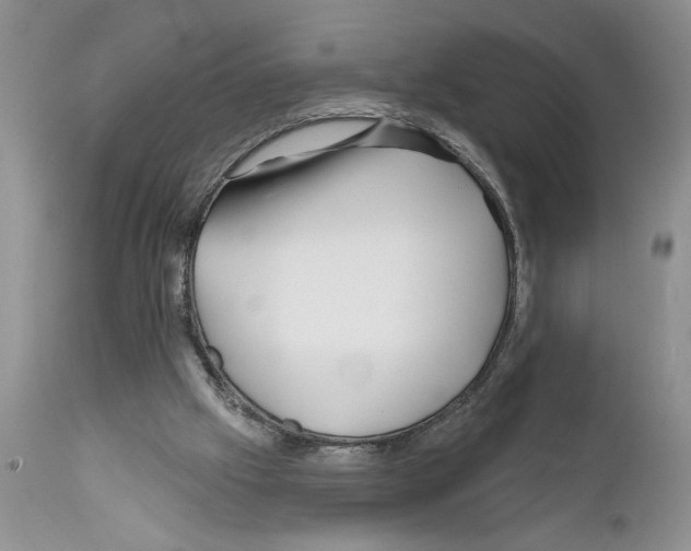 X0000111670057200908281121