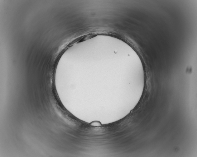 X0000111670059200908281121