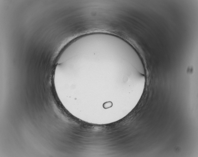 X0000111670060200908281121