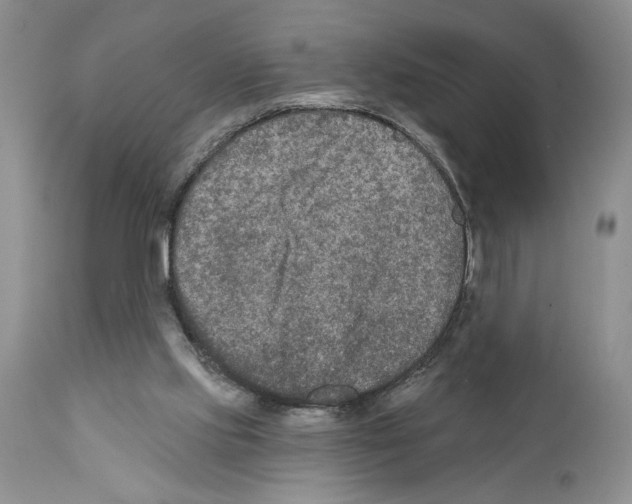 X0000111670061200908281121