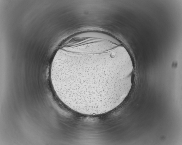 X0000111670063200908281121