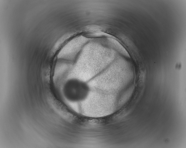 X0000111670064200908281121