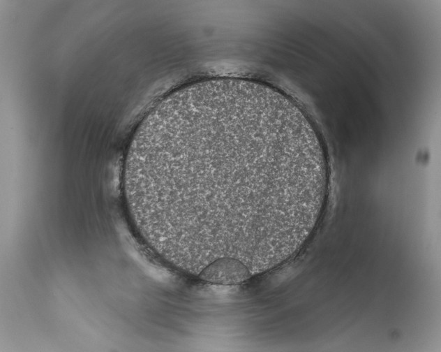 X0000111670065200908281121