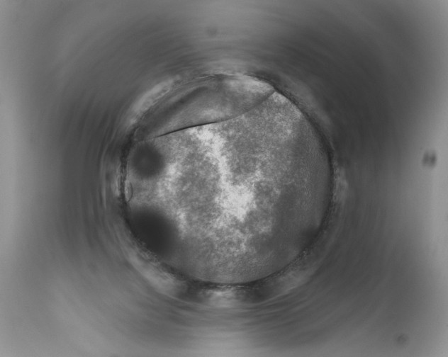 X0000111670068200908281121