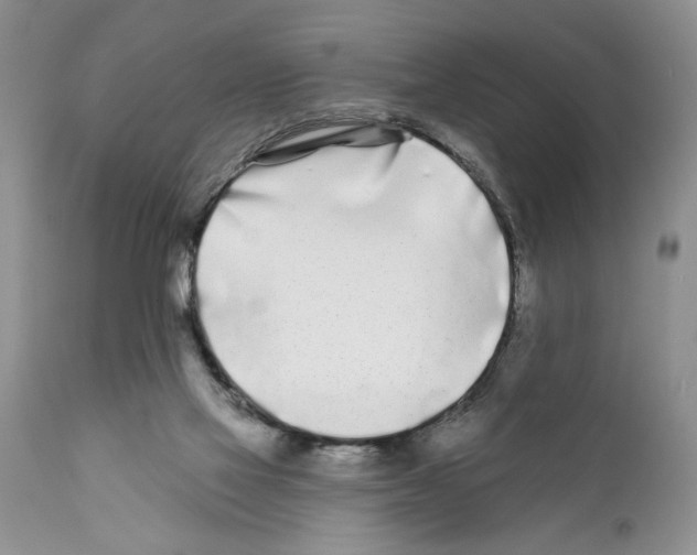 X0000111670069200908281121