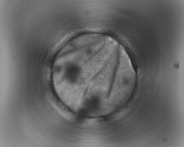 X0000111670072200908281121