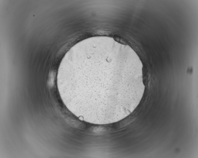 X0000111670075200908281121