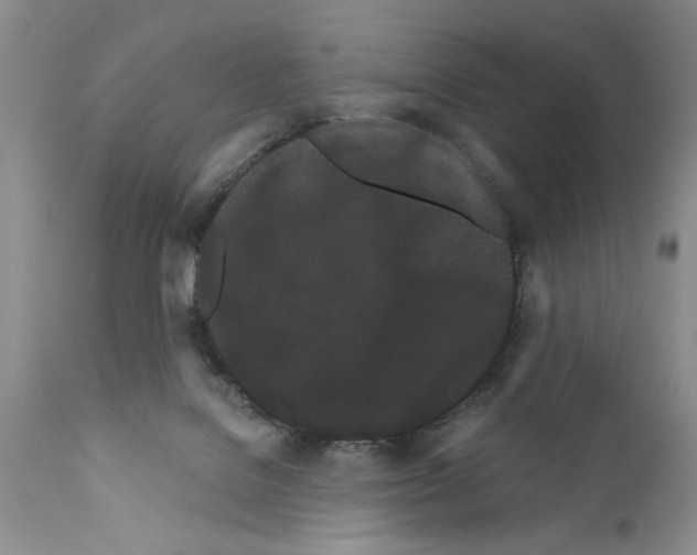 X0000111670076200908281121