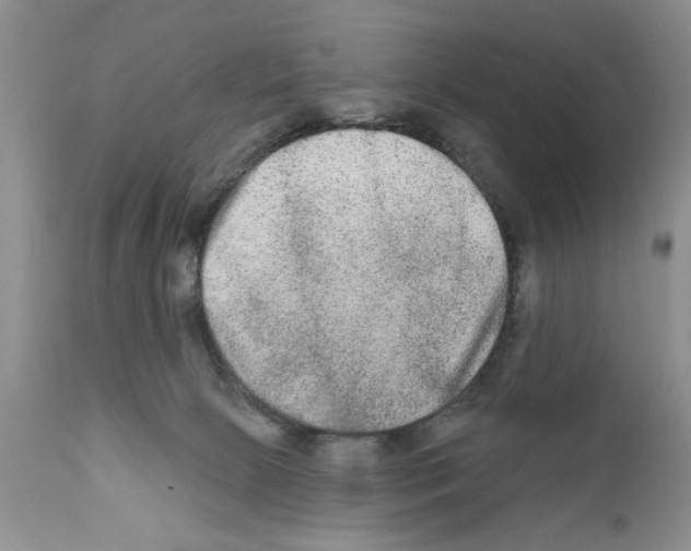 X0000111670081200908281121