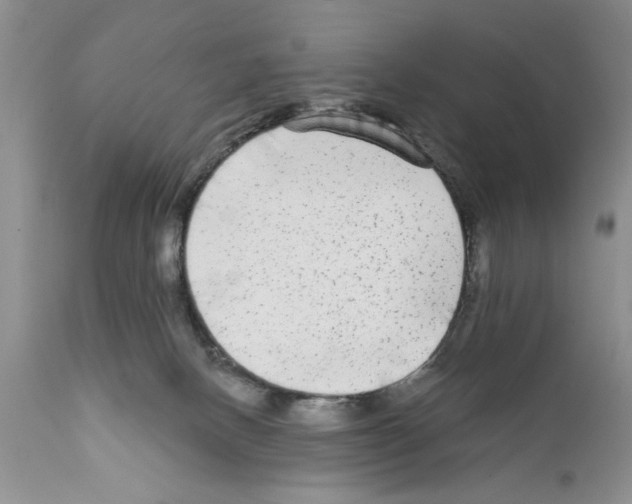 X0000111670082200908281121