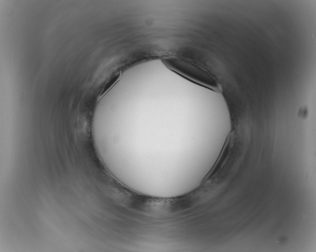 X0000111670084200908281121