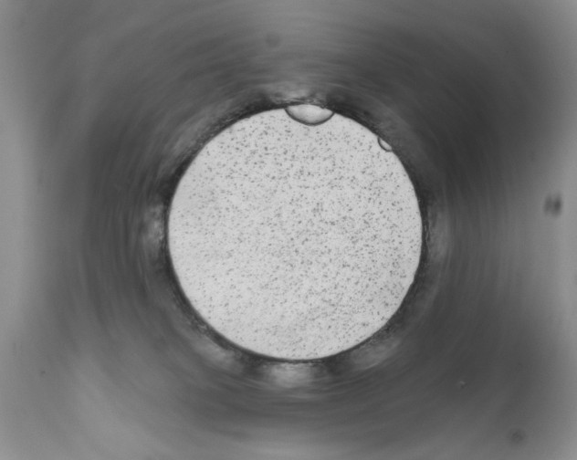 X0000111670085200908281121