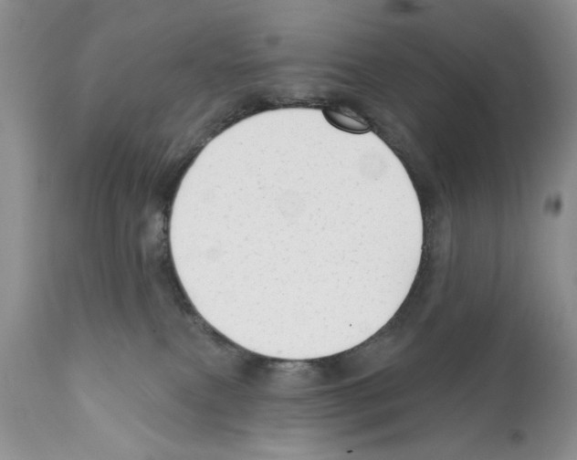 X0000111670087200908281121