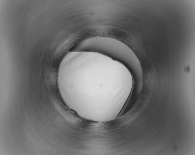 X0000111670092200908281122