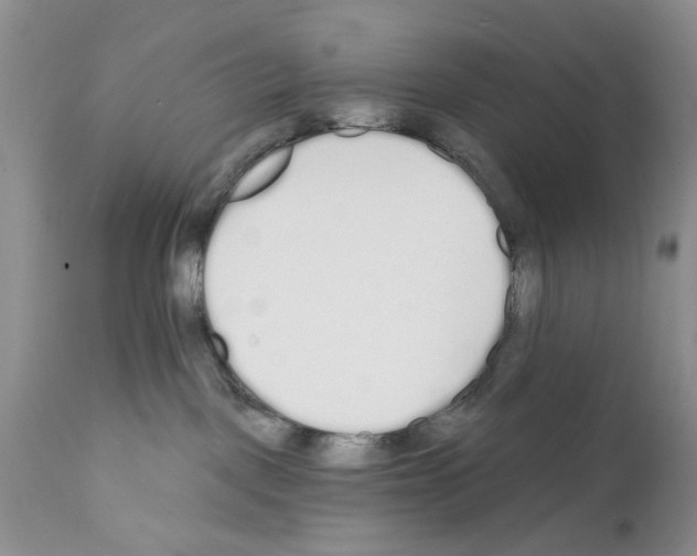 X0000111670093200908281122