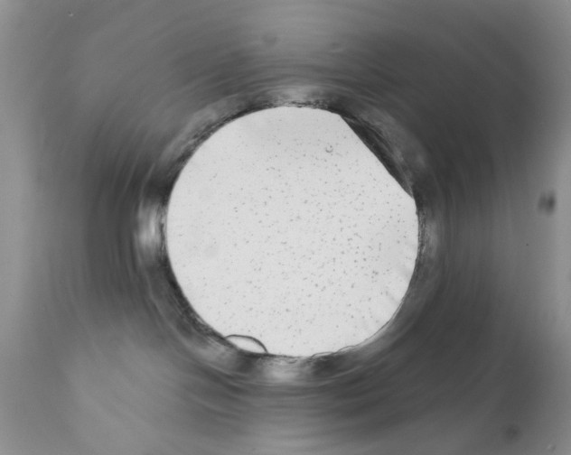 X0000111670094200908281122