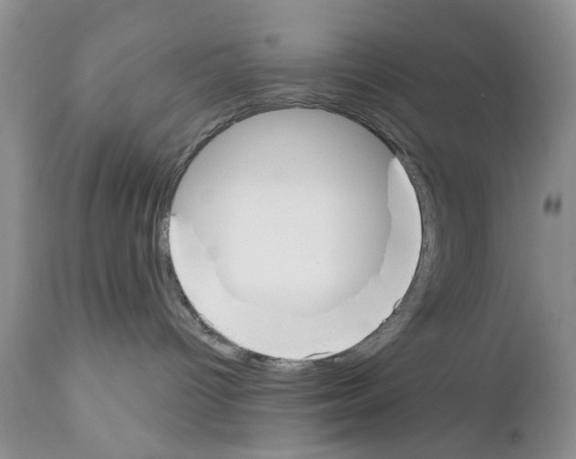 X0000111670096200908281122