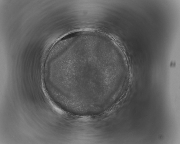 X0000111670097200908281121