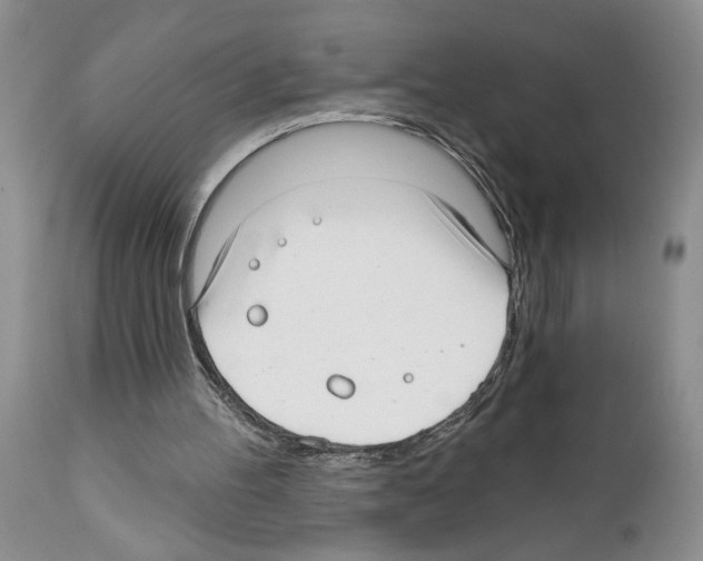 X0000111670100200908281121