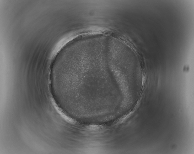 X0000111670101200908281121