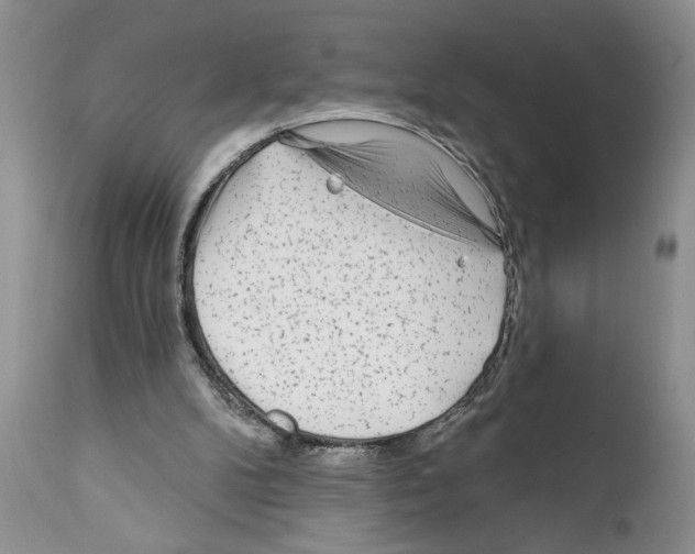 X0000111670104200908281121