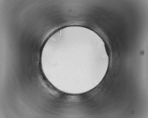 X0000111670107200908281121