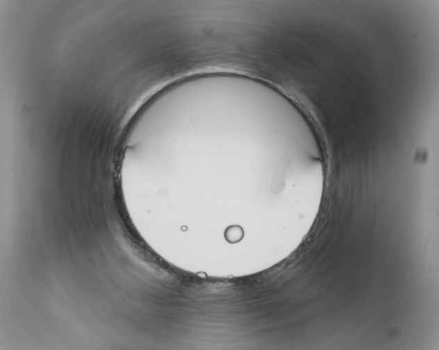 X0000111670108200908281121