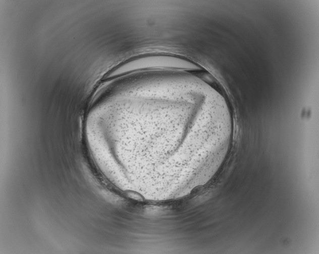 X0000111670109200908281121