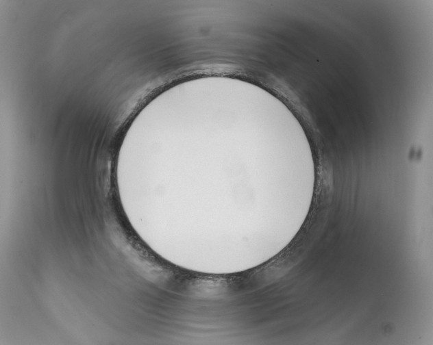 X0000111670110200908281121