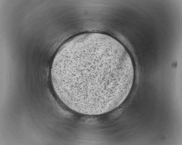 X0000111670113200908281121