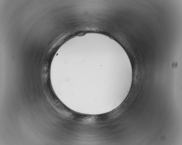 X0000111670116200908281121