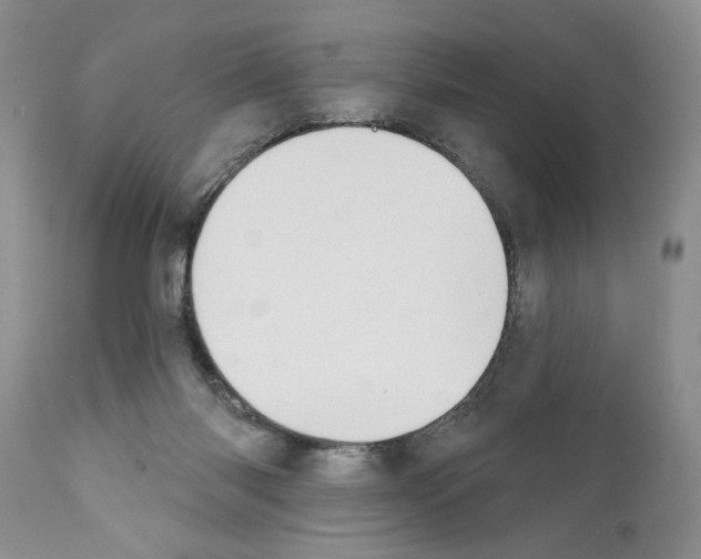 X0000111670118200908281121