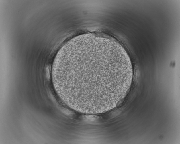 X0000111670121200908281121