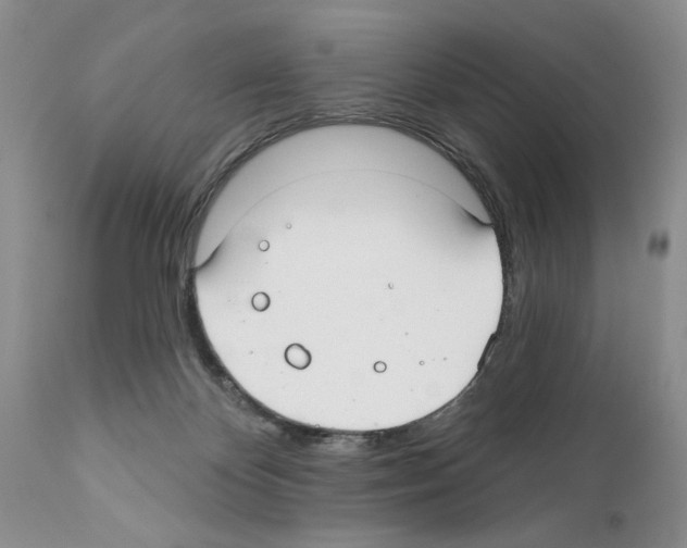 X0000111670124200908281121