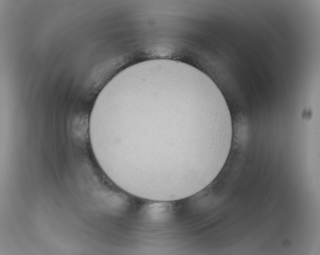 X0000111670126200908281121