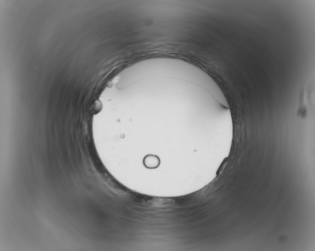 X0000111670128200908281121