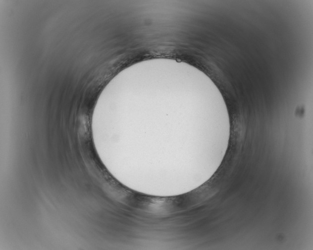 X0000111670130200908281120