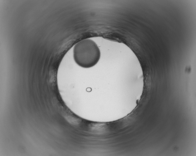 X0000111670132200908281120