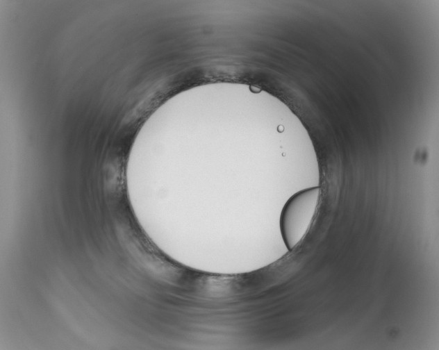 X0000111670134200908281120