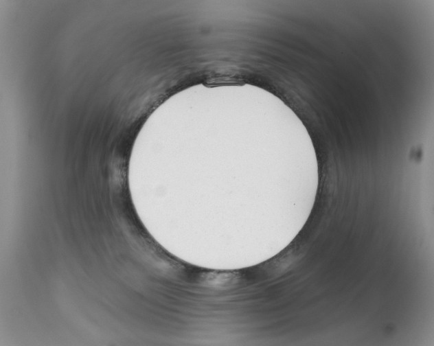 X0000111670135200908281120