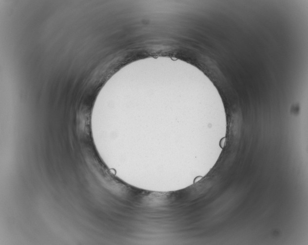 X0000111670138200908281120