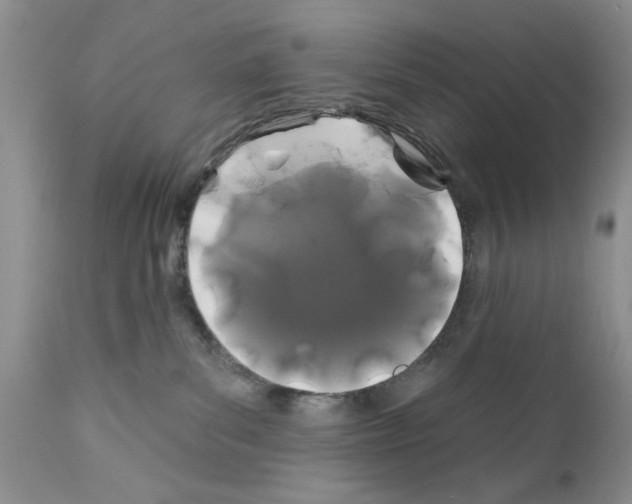 X0000111670139200908281120