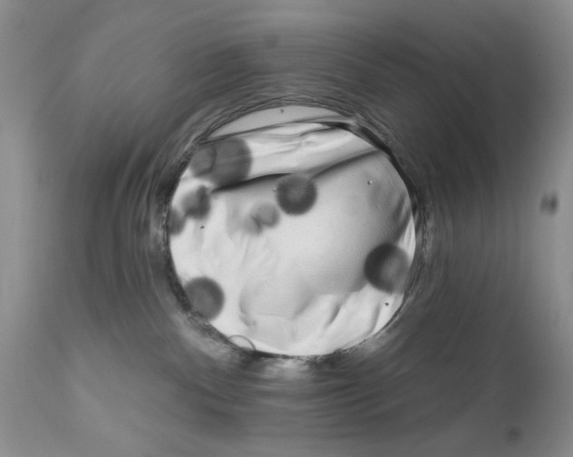 X0000111670140200908281120