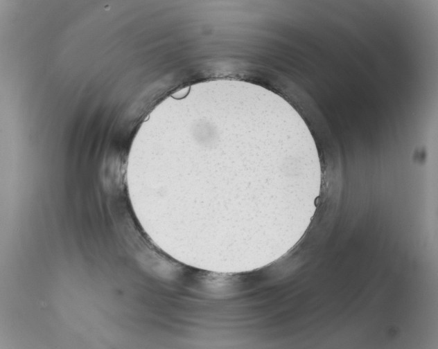 X0000111670142200908281120