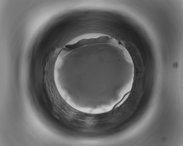 X0000111670143200908281120